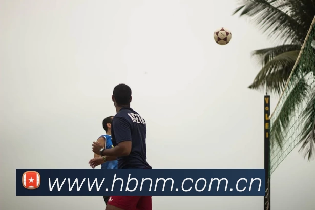 emc易倍·(中国)体育官方网站APP 封面图